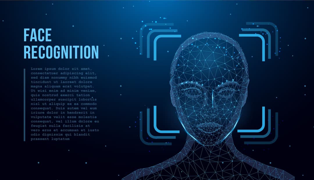 Face recognition module